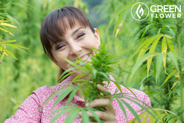 Cancer Cures Part 3 - Seeds